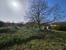 Maison à vendre SAINT DIZANT DU GUA (17) 3 pièces à rénover sur 5726m2