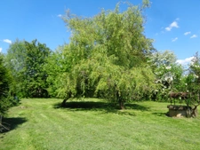 Maisons à vendre TREIGNY (89) Ensemble de deux maison 11pcs 5 ou 6 chbs, piscine, panneau solaire
