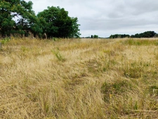 Terrain à vendre 4000m2 dont 1000m2 constructible SAINT HILAIRE DU BOIS (17)