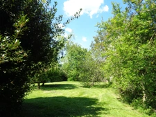 Maisons à vendre TREIGNY (89) Ensemble de deux maison 11pcs 5 ou 6 chbs, piscine, panneau solaire