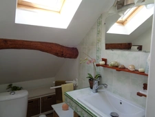Maisons à vendre TREIGNY (89) Ensemble de deux maison 11pcs 5 ou 6 chbs, piscine, panneau solaire