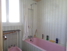 Maison à vendre SAUJON (17) 12 pièces 210m2 parcelle 700m2(deux habitations possibles)