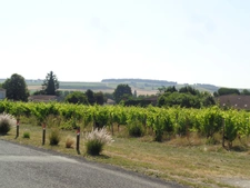 Terrain à vendre AVY (17) Terrain 2000m2 avec certificat d'urbanisme opérationnel