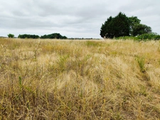 Terrain à vendre 4000m2 dont 1000m2 constructible SAINT HILAIRE DU BOIS (17)