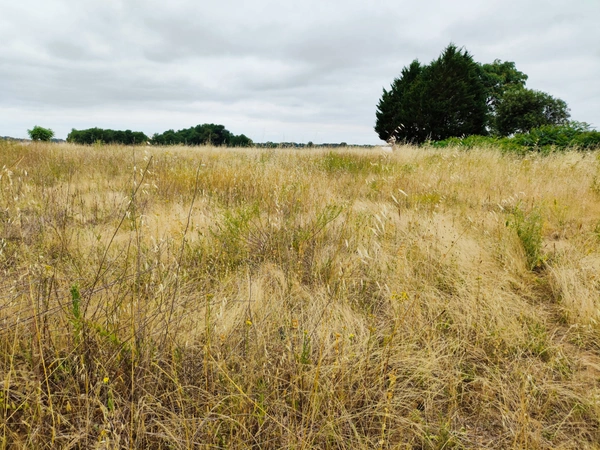Terrain à vendre 4000m2 dont 1000m2 constructible SAINT HILAIRE DU BOIS (17)