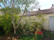 Maison à vendre 4 pièces COLOMBIERS (17 )Maison de plain-pied 102m2 avec garage et dépendances