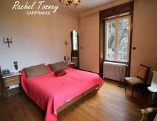 Fougerolles area, beautiful bourgeois house T9 on a plot of 75 ares! 