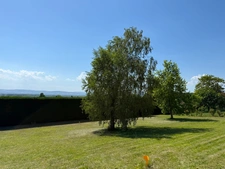 Reyrieux - A vendre magnifique terrain plat de 1052 m² 