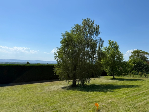 Reyrieux - A vendre magnifique terrain plat de 1052 m² 