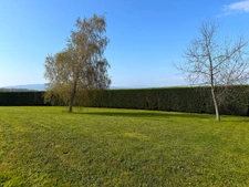 Reyrieux - A vendre magnifique terrain plat  de 1052 m² 