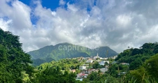 Ensemble immobilier à vendre au MORNE-VERT (972)