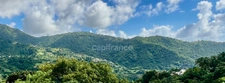 Ensemble immobilier à vendre au MORNE-VERT (972)