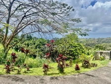 Immeuble de rapport à vendre SCHOELCHER (97233)