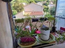 T3 AVEC BALCON, CAVE, GARAGE EN OPTION