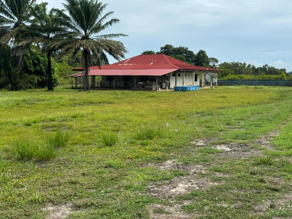 Exceptionnelle Maison a rénover sur 5000 m2 Bois d'opale