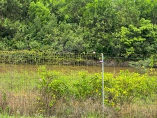 Exceptionnelle Maison a rénover sur 5000 m2 Bois d'opale