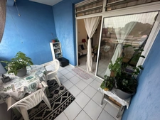 Très bel appartement T2 avec vue sur Cayenne près de l'institut Pasteur