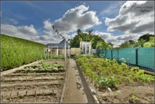 Maison à vendre -Centre Bourg - VIEILLEVIGNE (44)