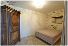 Domaine d'exception - CHAVAGNES EN PAILLERS (85) - 1 maison d'habitation ainsi que 2 gîtes avec piscine