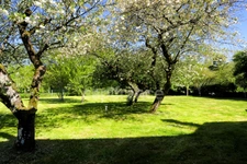 Entre CLOYES sur Le Loir et DROUÉ, Longère à vendre 4 pièces RUAN SUR EGVONNE (41)