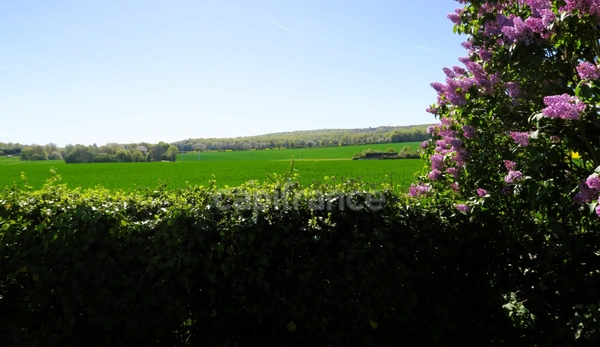 Entre CLOYES sur Le Loir et DROUÉ, Longère à vendre 4 pièces RUAN SUR EGVONNE (41)