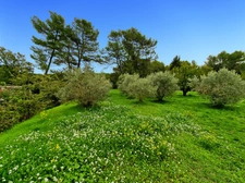 Terrain à bâtir – 834 m² – Gréasque – Proche centre