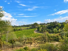 STUDIO RÉNOVÉ AVEC JARDINET PRIVATIF ET VUE SUR LES VIGNES