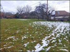 Building plot divisible into 3 lots
