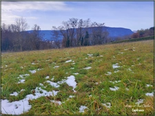 Building plot divisible into 3 lots