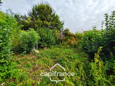 Maison à vendre 3 pièces BESSE SUR BRAYE (72)  -  terrain 260 m²  -