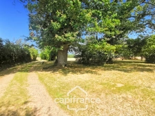House for sale, 6 rooms, COGNERS (72) - land 2315 m² -