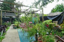 Maison viager à vendre 4 pièces ROCHEFORT (17)