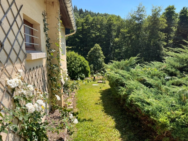 Maison viager à vendre occupé 7 pièces
