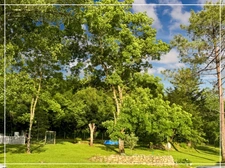 Maison à vendre 5 pièces de 164 m2 habitables proche de MONTREAL (32) sur 5171 m2 de terrain clôturé avec dépendance 