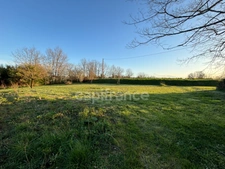 Dpt Gers (32), à vendre proche de NOGARO maison P6 de 214 m² - Terrain de 10803 m2  - Plain pied