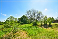 Charming property for sale, 8 rooms near NOGARO (32) 240 m2 of living space set on 9 HECTARES of land WITHOUT OVERLOOK, GERSOISE COUNTRYSIDE