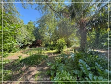 Propriété aux multiples possibilités : 2 maisons, studio et dépendances sur 3 007 m², proche de NOGARO (32)