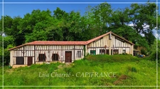 House for sale 3 rooms 8 minutes from NOGARO (32) of 95 m2 living space on 6714 m2 of land 