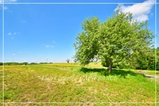 Charming property for sale, 8 rooms near NOGARO (32) 240 m2 of living space set on 9 HECTARES of land WITHOUT OVERLOOK, GERSOISE COUNTRYSIDE