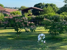 Maison à vendre 4 pièces de 140 m2 habitables avec sous-sol, piscine, jardin fruitier sur plus de 4 800 m2 de terrain proche de VIC FEZENSAC (32)