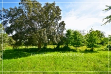 Maison à vendre de plain-pied 6 pièces proche de RISCLE (32) de 162 m2 habitables sur 4947 m2 de terrain 