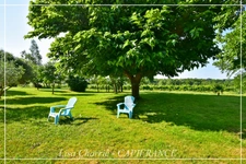 Maison BASTIDE GERSOISE à vendre 5 pièces COURRENSAN (32) de 127 m2 habitables sur 10057 m2 de terrain arboré