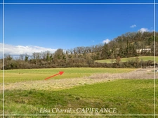 Terrain à vendre 10 705 m2 constructible et borné - AUTERIVE (32)