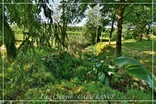 Maison BASTIDE GERSOISE à vendre 5 pièces COURRENSAN (32) de 127 m2 habitables sur 10057 m2 de terrain arboré