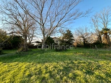 Dpt Gers (32), à vendre proche de NOGARO maison P6 de 214 m² - Terrain de 10803 m2  - Plain pied