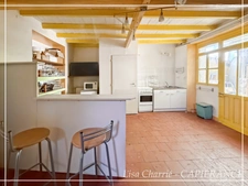 Propriété aux multiples possibilités : 2 maisons, studio et dépendances sur 3 007 m², proche de NOGARO (32)