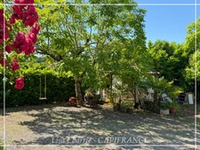 Propriété aux multiples possibilités : 2 maisons, studio et dépendances sur 3 007 m², proche de NOGARO (32)