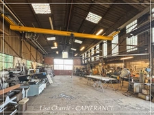 Industrial buildings and offices for sale PANJAS (32) on 4735 m2 of land