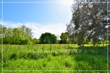 Maison à vendre de plain-pied 6 pièces proche de RISCLE (32) de 162 m2 habitables sur 4947 m2 de terrain 