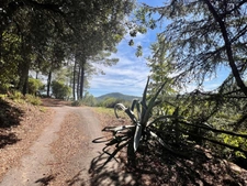 Dpt Gard (30), à vendre TORNAC maison P6 de 196 m² - Terrain de 800 000,00 m² 